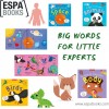Big Words for Little Experts Selection