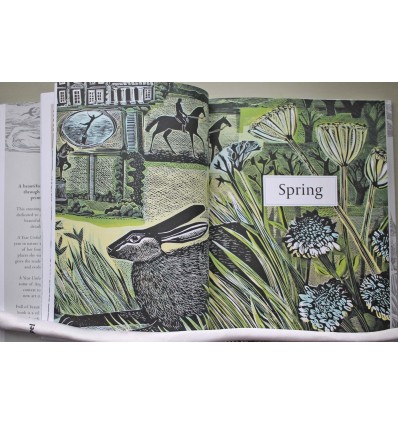 Wilding: How to Bring Wildlife Back - The NEW Illustrated Guide