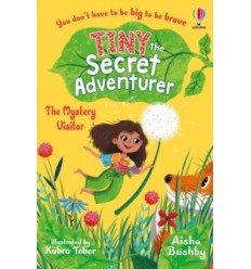 Tiny the Secret Adventurer: The Mystery Visitor