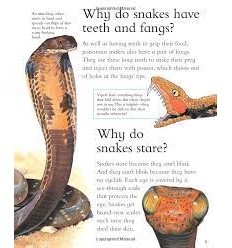 I Wonder Why Snakes Shed Their Skin 2