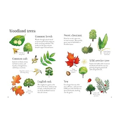 Nature Spotting Guide
