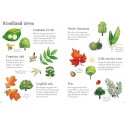 Nature Spotting Guide