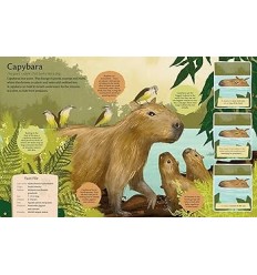 Curious Features Of Extraordinary Creatures 2