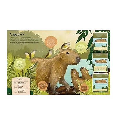 Curious Features Of Extraordinary Creatures