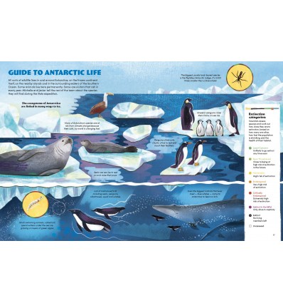 Scientists in the Wild: Antarctica