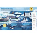 Scientists in the Wild: Antarctica