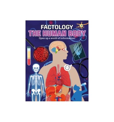 Factology: The Human Body