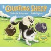 Counting Sheep