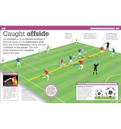 Goal! : Everything You Need to Know About Football!