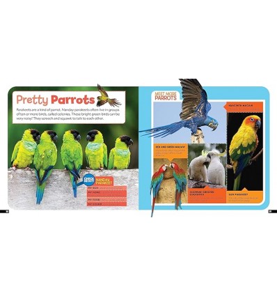 Little Kids First Nature Guide Birds