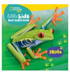 Little Kids First Board Book: Frogs
