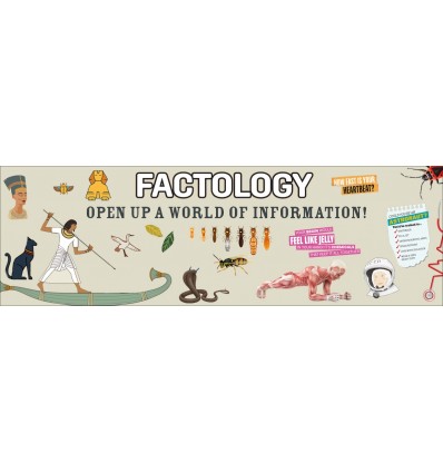 Factology - Selection