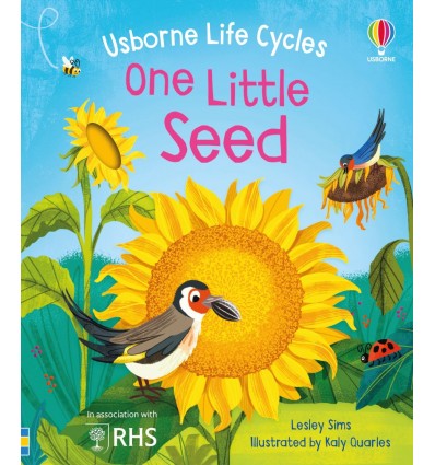 One Little Seed