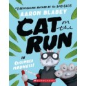 Cat on the Run in Cucumber Madness!