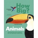 How Big? Animals