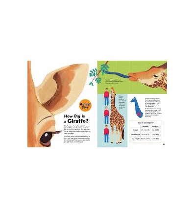 How Big? Animals