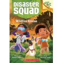 Disaster Squad: Wildfire Rescue: A Branches Book