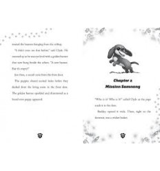 Dragon Girls. Willa the Silver Glitter Dragon (Dragon Girls. Willa the Silver Glitter Dragon 2