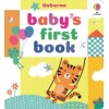 Baby's First Book