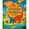 I Wonder Why Triceratops Had Horns