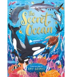 The Secret Ocean