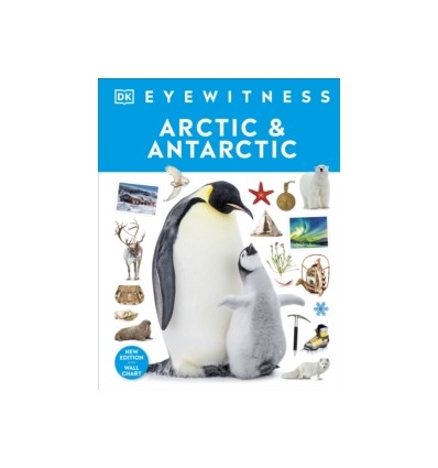 My Book of Gymnastics