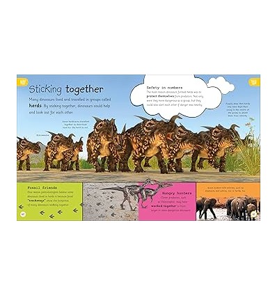 Home Lab : Exciting Experiments for Budding Scientists