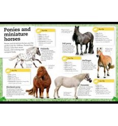 My Book of Horses and Ponies 2