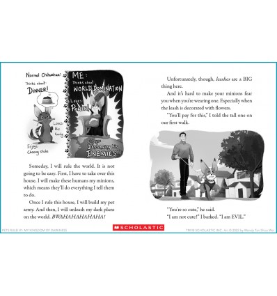 Pets Rule!  The Night of the Chipmunk: A Branches Book