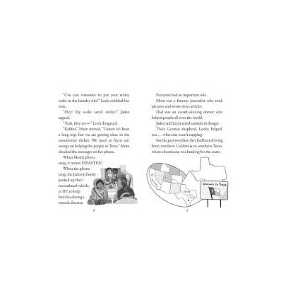 Disaster Squad:  Hurricane Rescue: A Branches Book