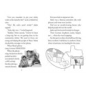 Disaster Squad:  Hurricane Rescue: A Branches Book