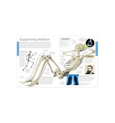 Human Body A Children's Encyclopedia