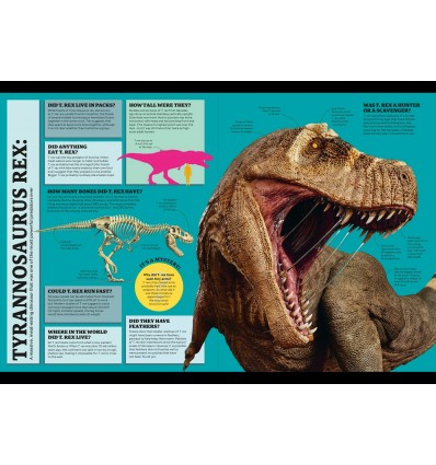 1,000 Curious Questions : And 1,000 Amazing Answers