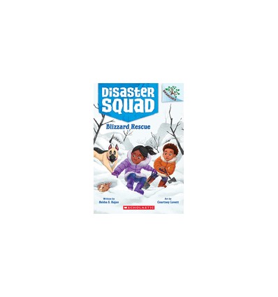 Disaster Squad: Blizzard Rescue: A Branches Book