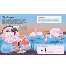 First Picture Encyclopedia of Animals 2