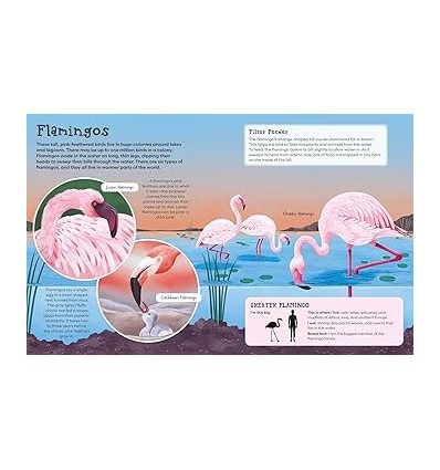 First Picture Encyclopedia of Animals