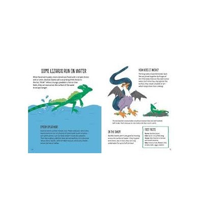 Weird and Wonderful Animal Facts