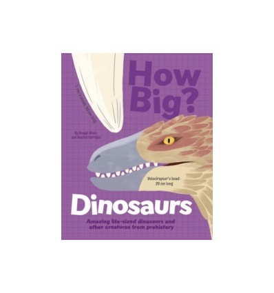 How Big? Dinosaurs