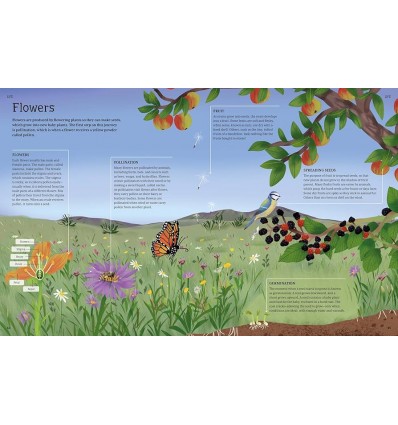 The Illustrated Encyclopedia of Animals