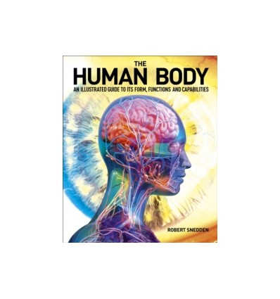 The Human Body