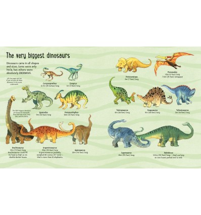 Big Book of Big Dinosaurs