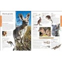 Animals : A Children's Encyclopedia