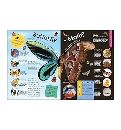 The Fact-Packed Activity Book: Insects : And Other Tiny Creatures