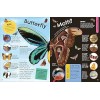 The Fact-Packed Activity Book: Insects : And Other Tiny Creatures