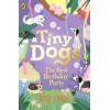 Tiny Dogs: The Best Birthday Party