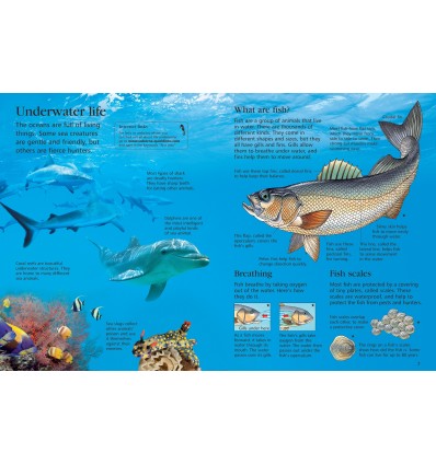 First Encyclopedia of Our World