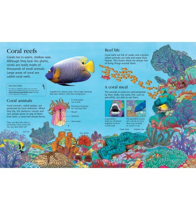 First Encyclopedia of Our World