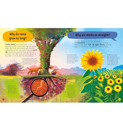 I Wonder Why the Sea is Salty