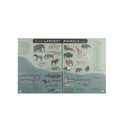 Hottest Desert, Fastest Rocket