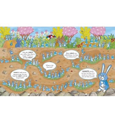 Elmer Search and Find Animals